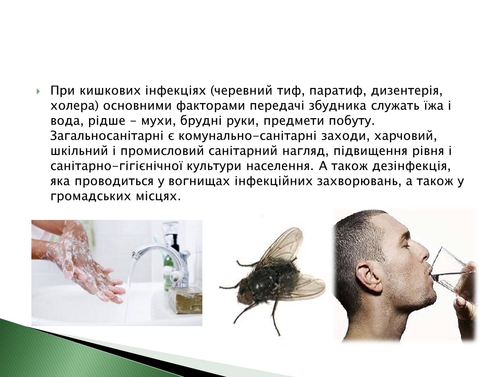 Презентація на тему «Профілактика інфекційних захворювань» (варіант 4) - Слайд #7