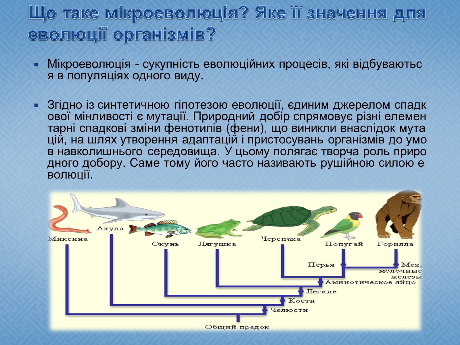 Презентація на тему «Синтетична гіпотеза еволюції» (варіант 1) - Слайд #7