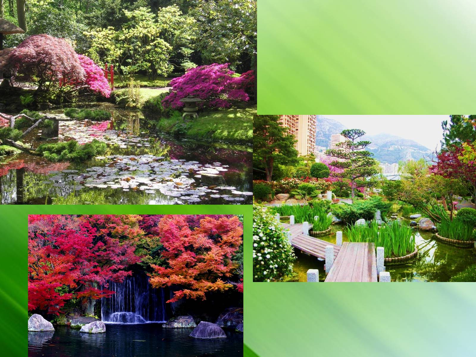 Презентація на тему «Садово-паркове мистецтво Японії» (варіант 2) - Слайд #7