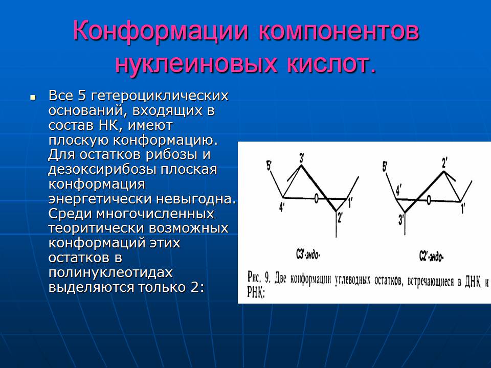 Презентація на тему «ДНК» (варіант 3) - Слайд #13
