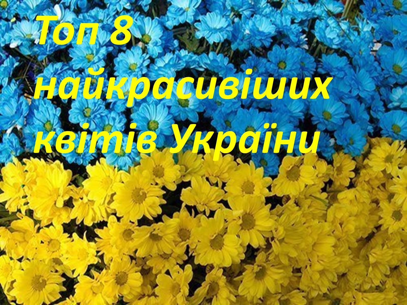Презентація на тему «Рослинний світ України» - Слайд #16