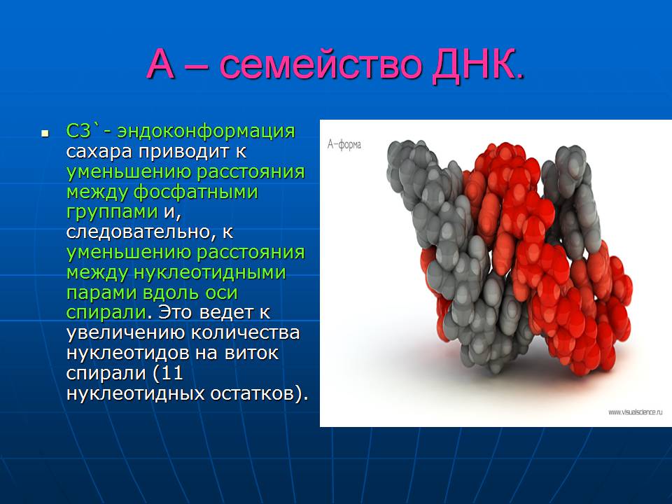 Презентація на тему «ДНК» (варіант 3) - Слайд #19