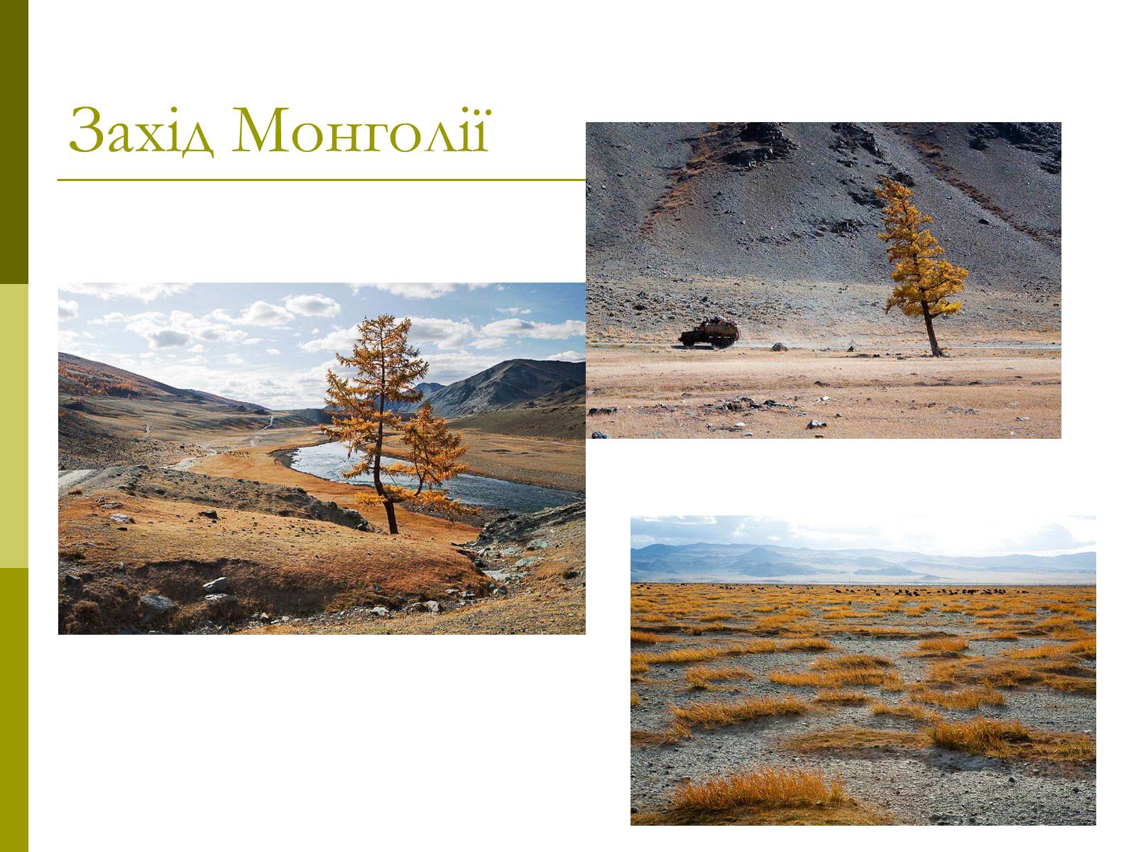 Презентація на тему «Монголія» (варіант 1) - Слайд #10
