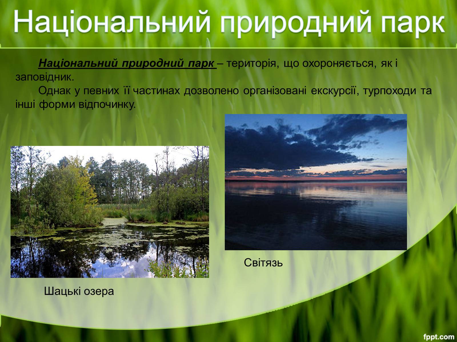 Презентація на тему «Природоохоронні території» (варіант 2) - Слайд #4