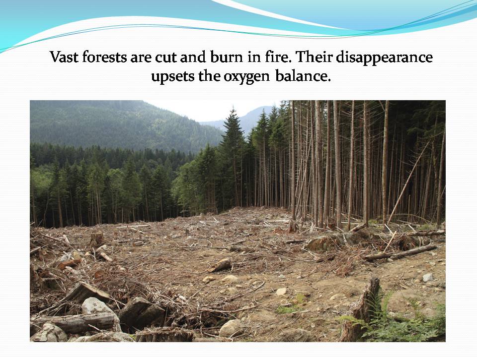 Презентація на тему «Ecological problems» (варіант 7) - Слайд #5