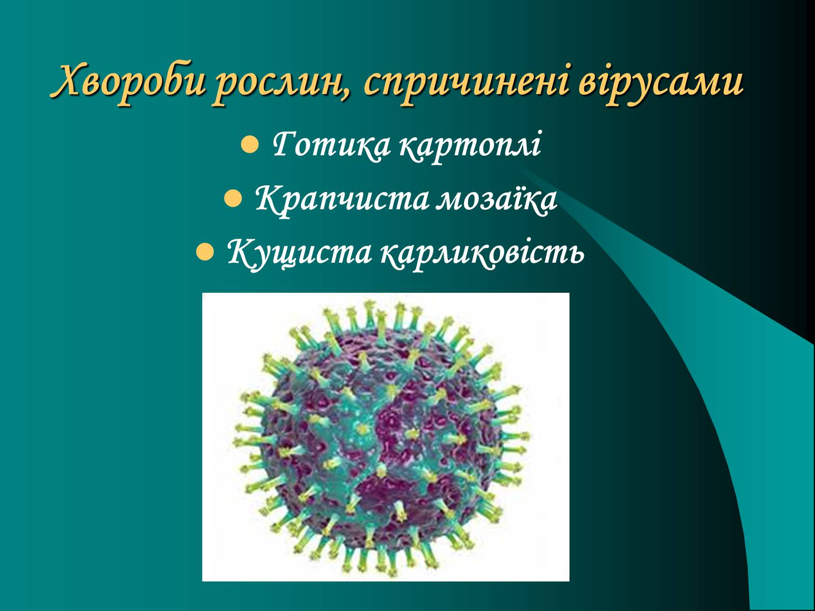 Презентація на тему «Віруси» (варіант 10) - Слайд #9