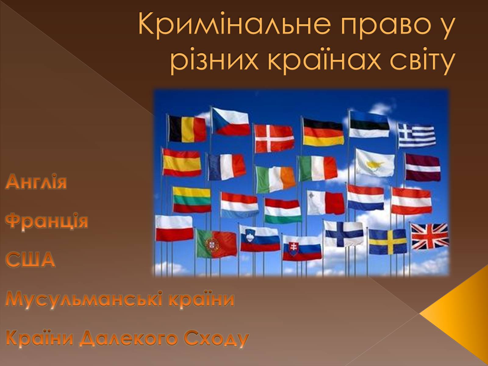 Презентація на тему «Кримінальне право у різних країнах світу» - Слайд #1