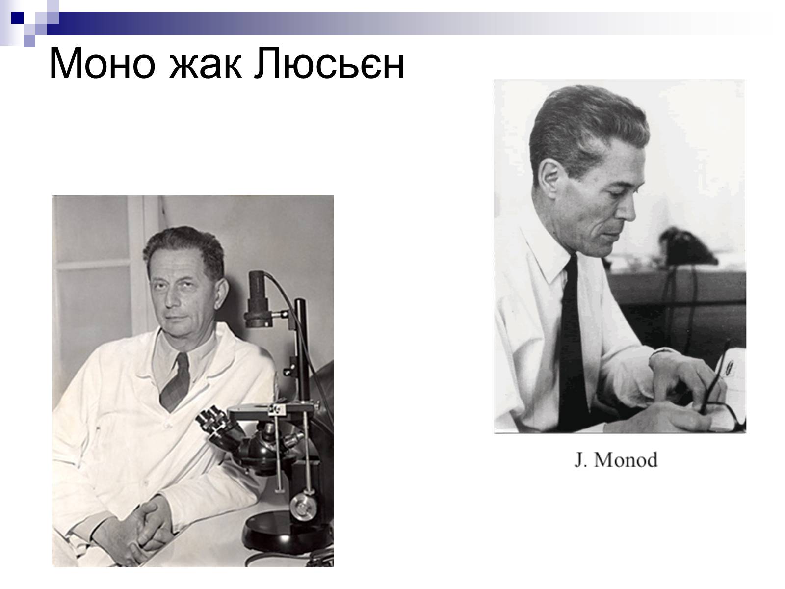 Презентація на тему «Біотехнології. Гіпотеза Моно і Джейкоба» - Слайд #3