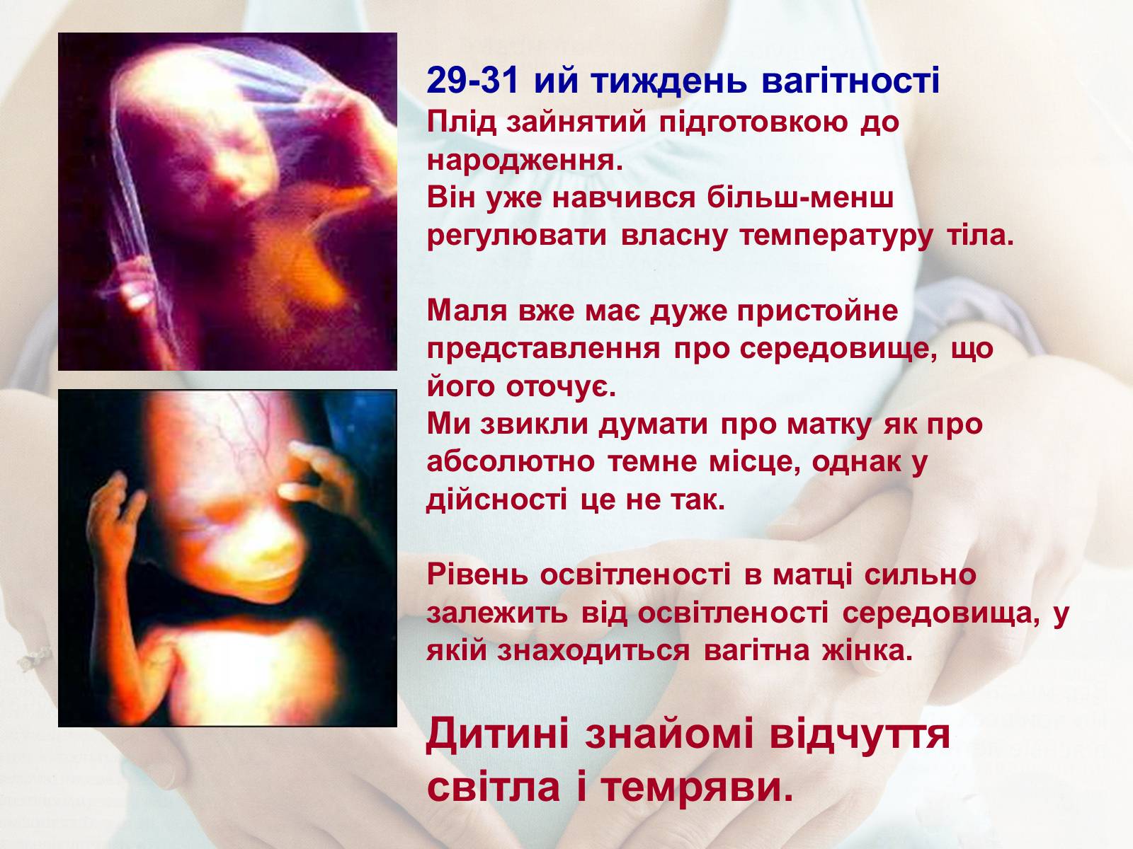 Презентація на тему «Життя до народження» - Слайд #19