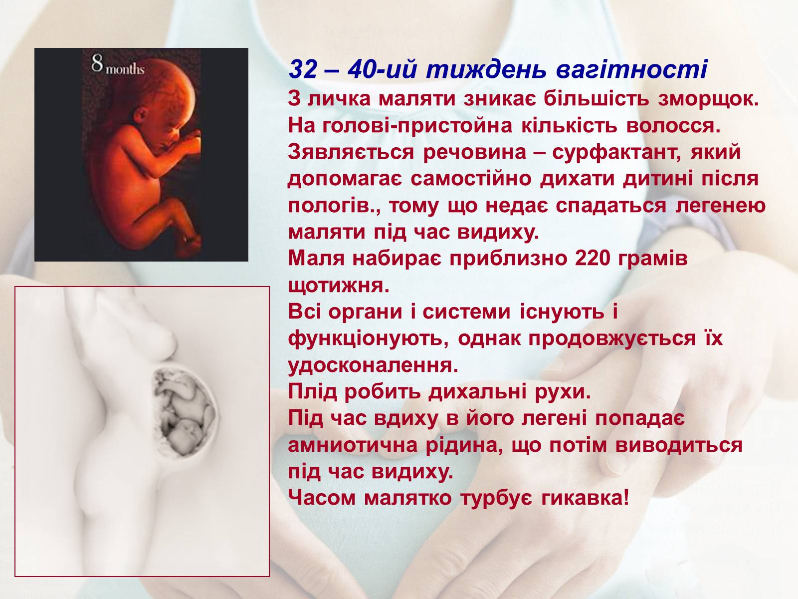 Презентація на тему «Життя до народження» - Слайд #20