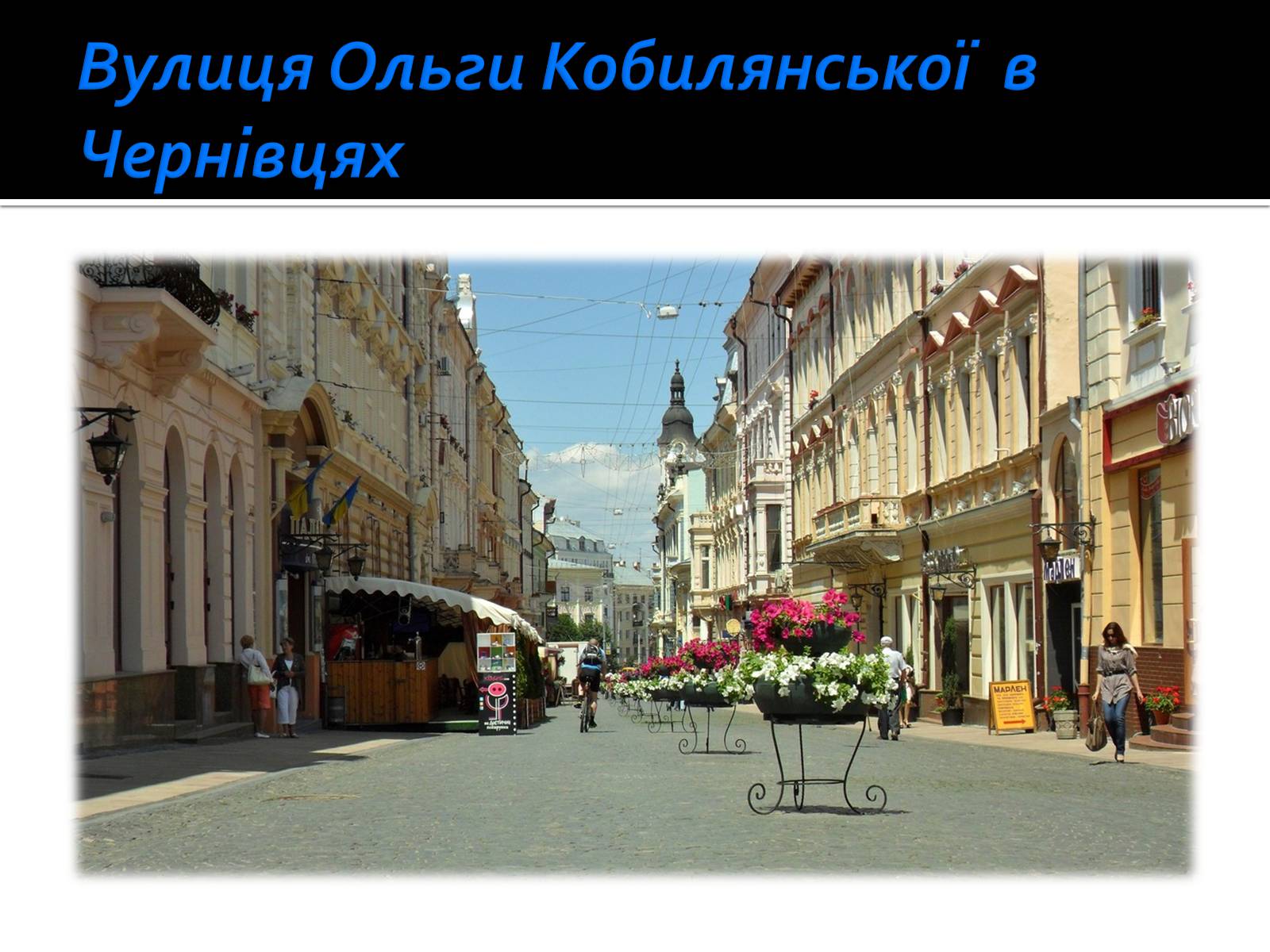 Презентація на тему «Життя і творчість Ольги Кобилянської» (варіант 1) - Слайд #27