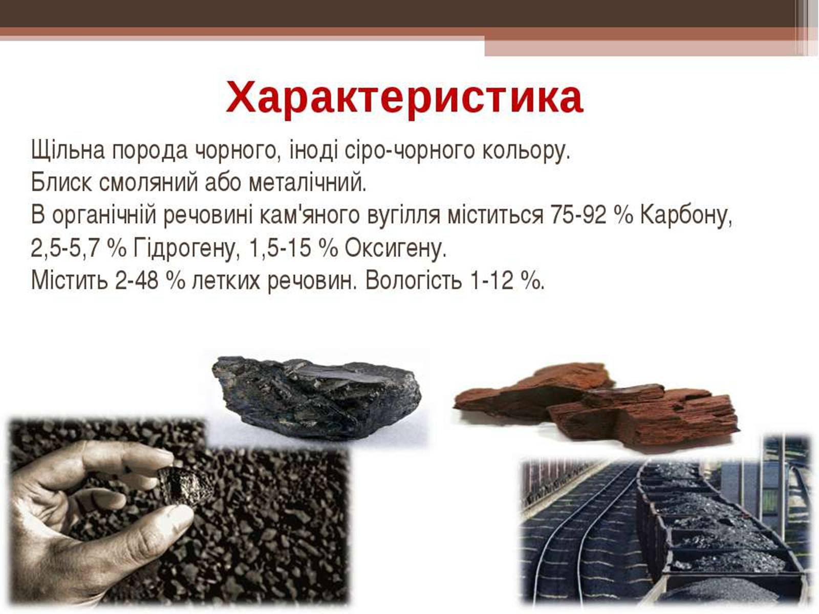 Презентація на тему «Кам’яне вугілля та продукти його переробки» (варіант 3) - Слайд #3