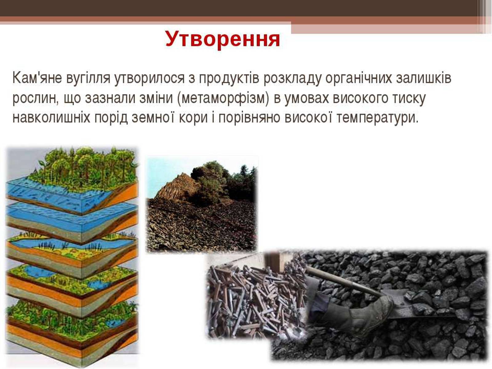 Презентація на тему «Кам’яне вугілля та продукти його переробки» (варіант 3) - Слайд #5