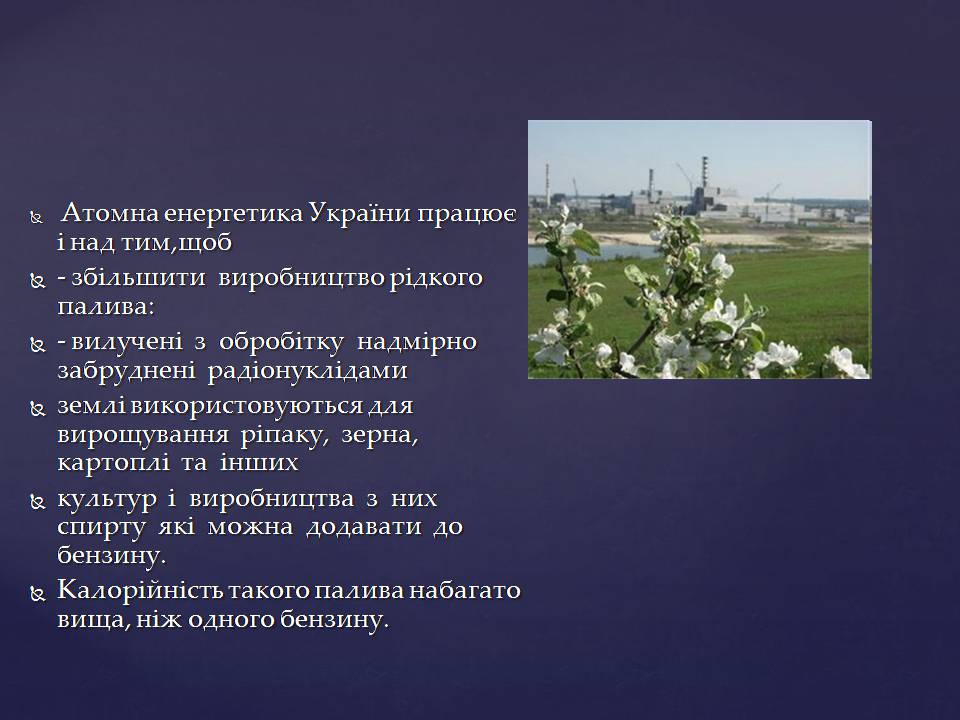 Презентація на тему «Ядерна енергетика в Україні» (варіант 4) - Слайд #13