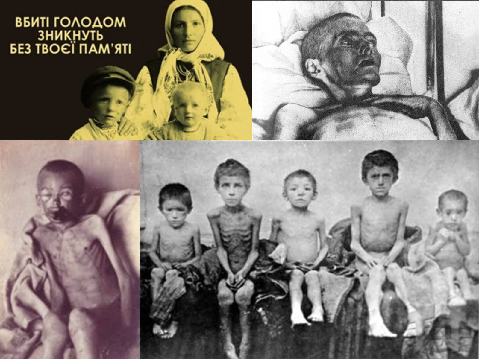 Презентація на тему «Голодомор в Білій Церкві в 1921-1923рр.» - Слайд #13