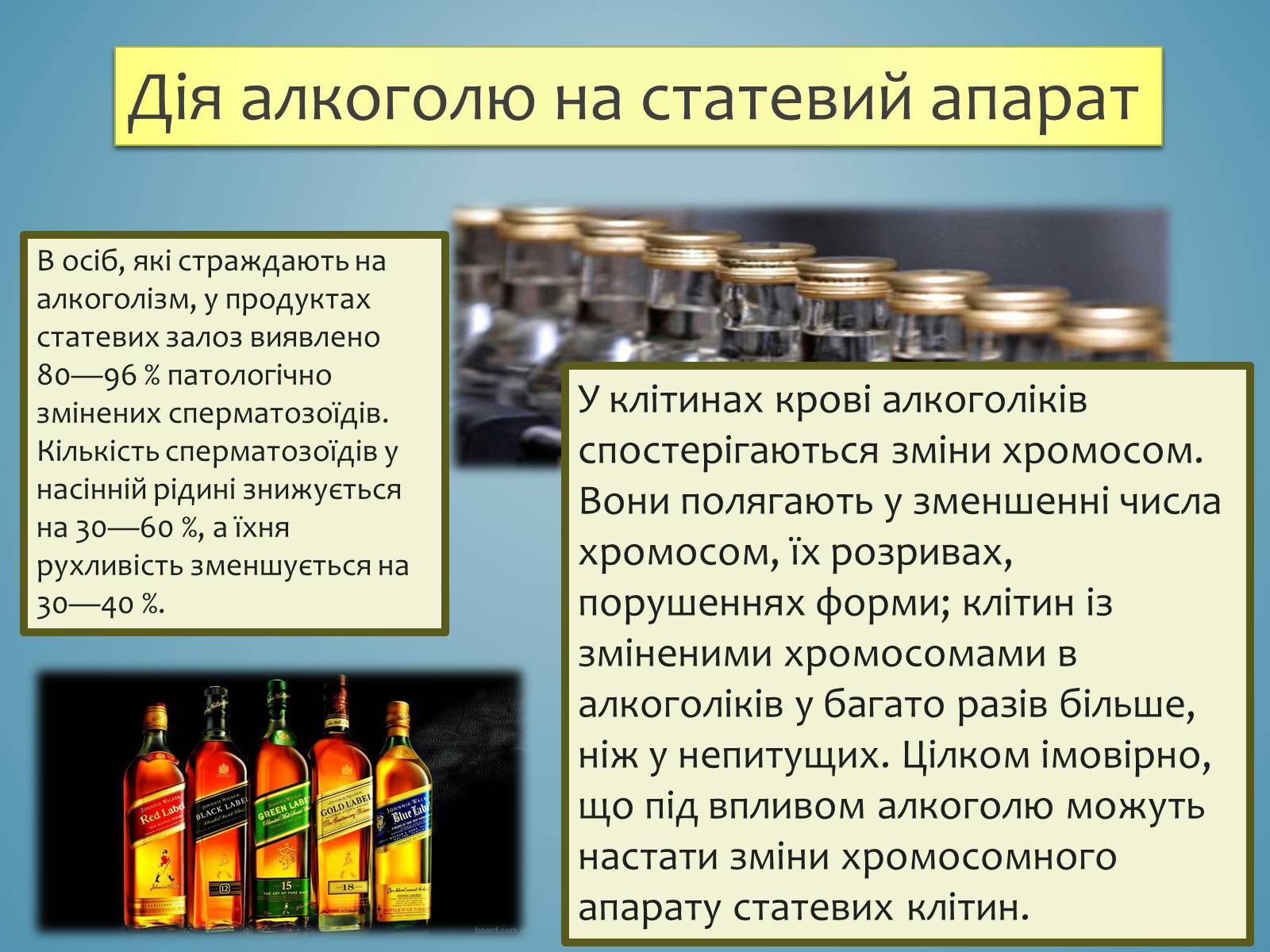 Презентація на тему «Вплив спиртів на організм» - Слайд #6