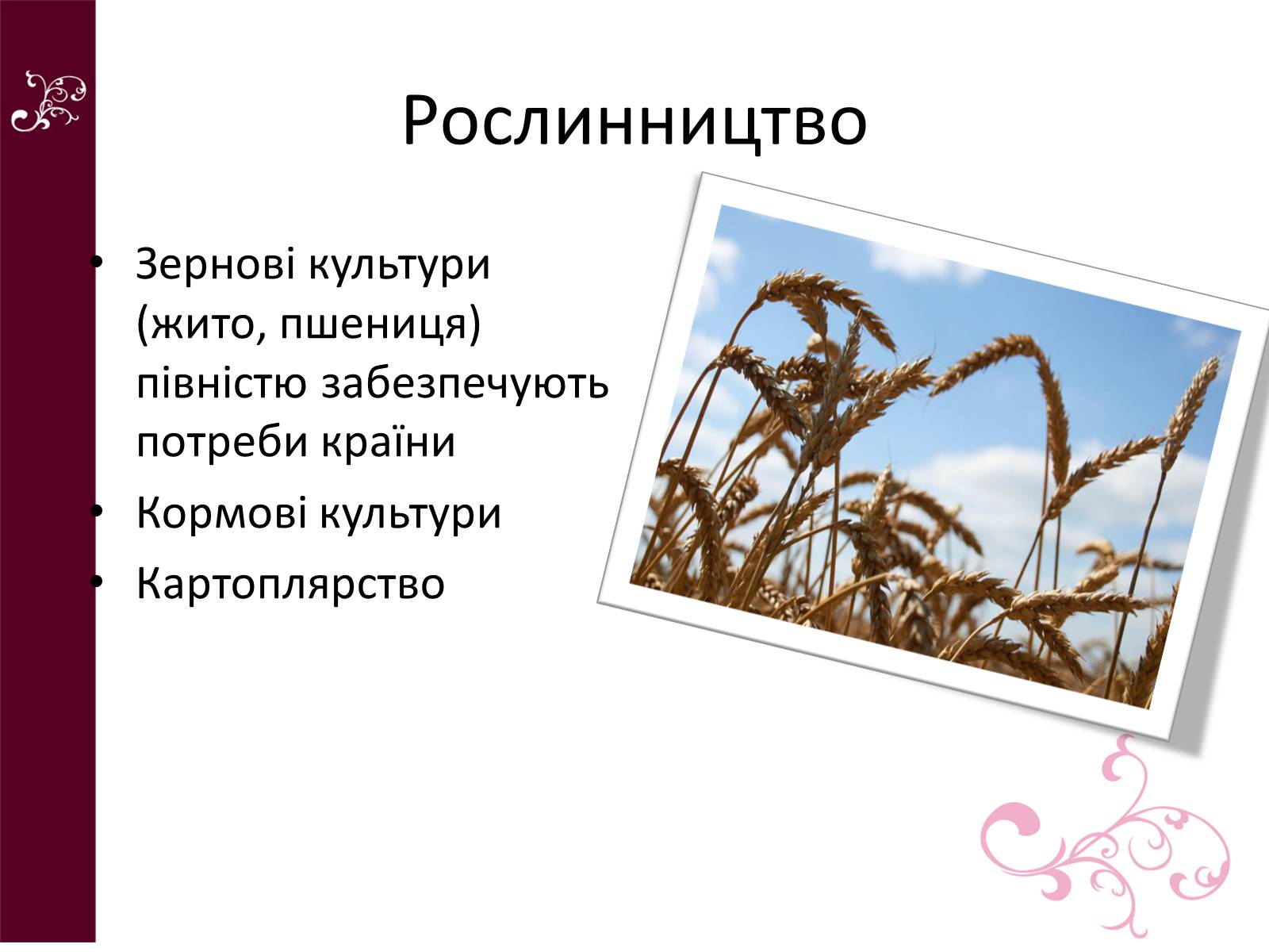 Презентація на тему «Республіка Білорусь» (варіант 4) - Слайд #14