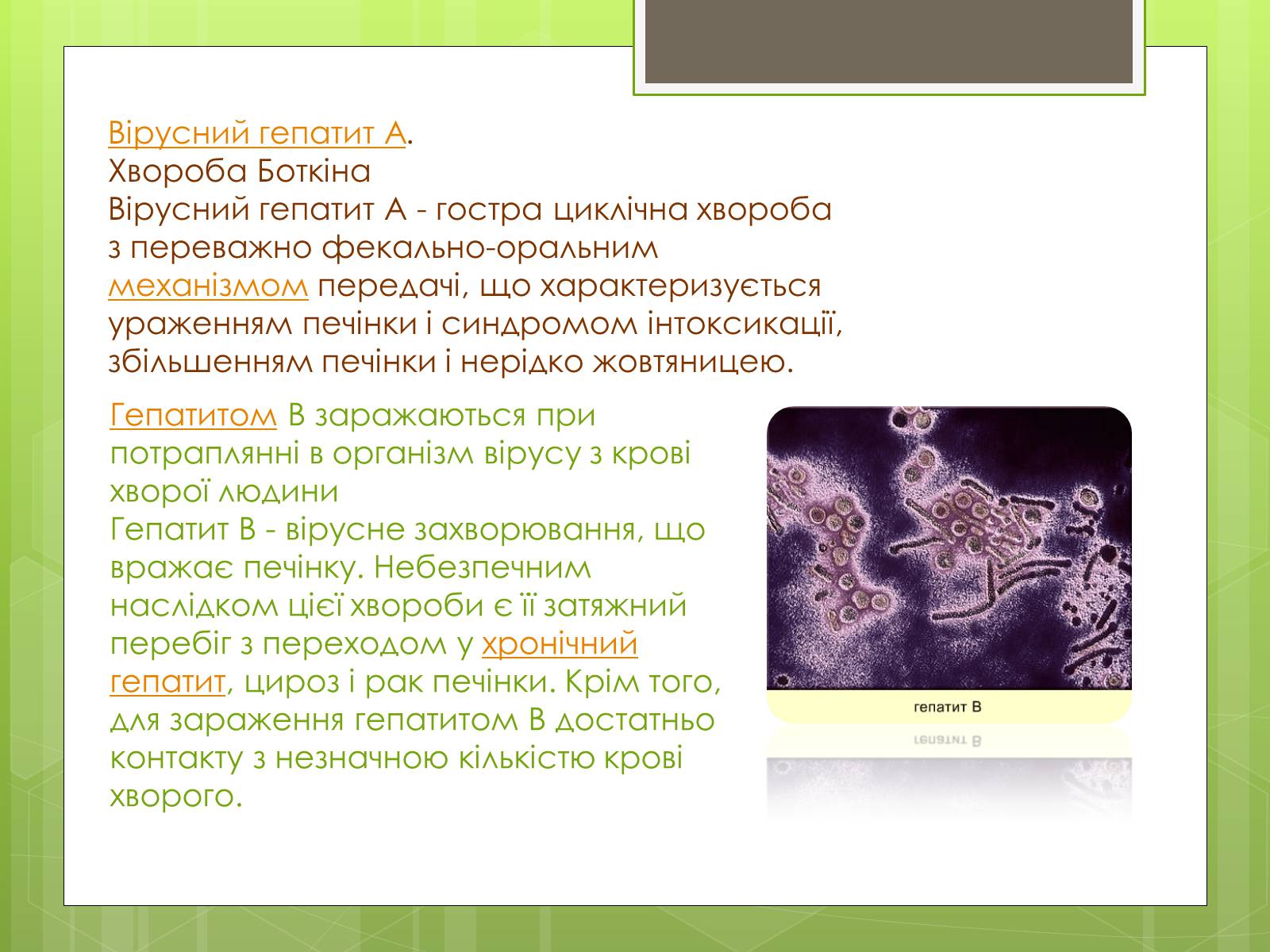 Презентація на тему «Заходи щодо профілактики вірусних хвороб» - Слайд #7