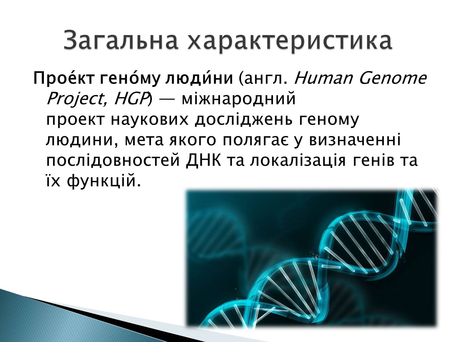 Презентація на тему «Геном Людини» - Слайд #3