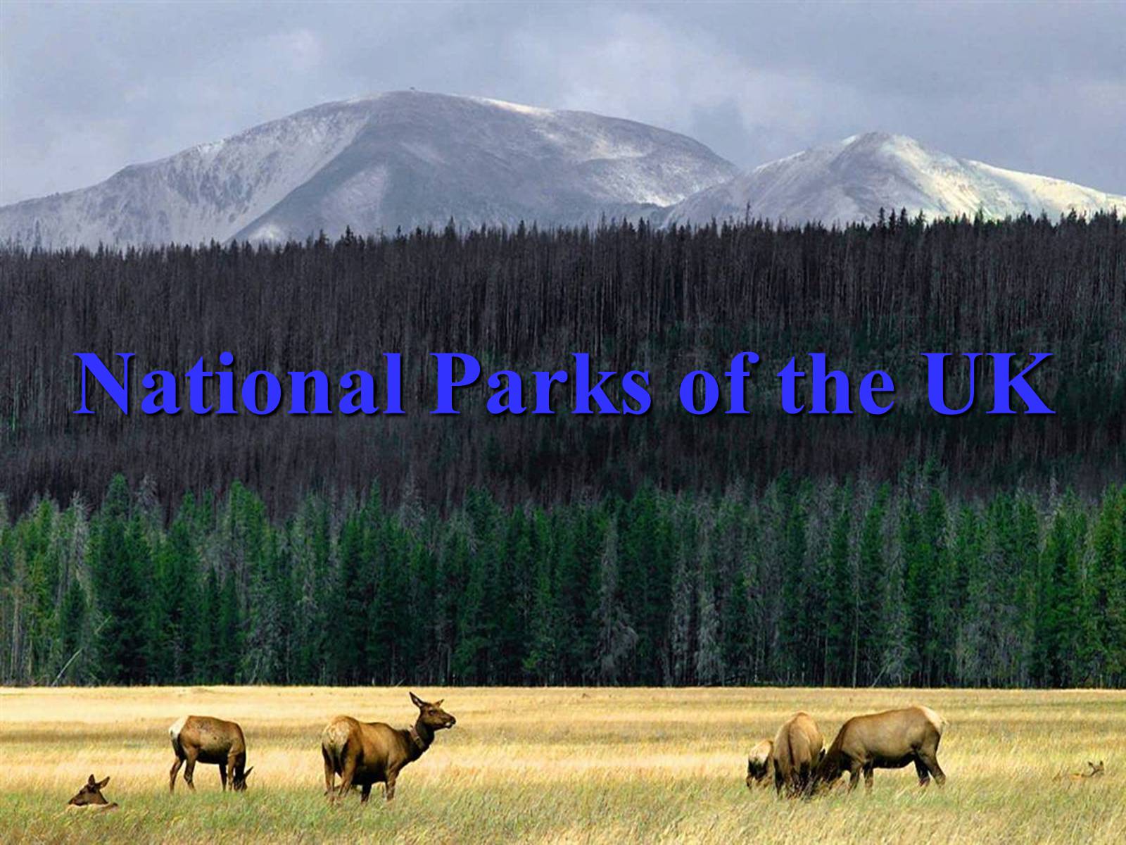 Презентація на тему «National Parks of the UK» - Слайд #1