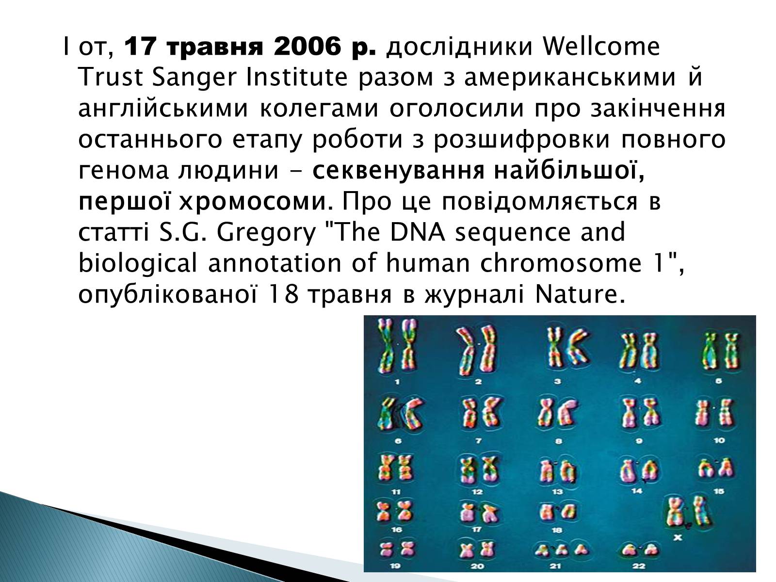 Презентація на тему «Геном Людини» - Слайд #11
