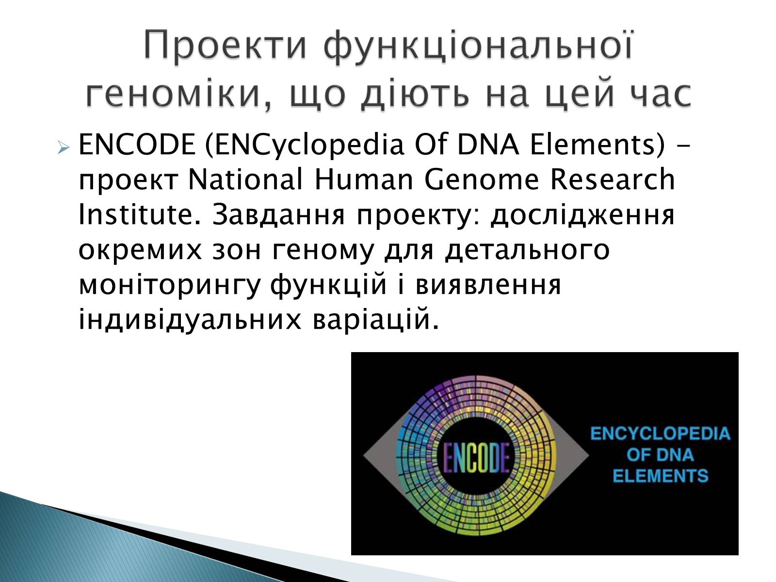 Презентація на тему «Геном Людини» - Слайд #12