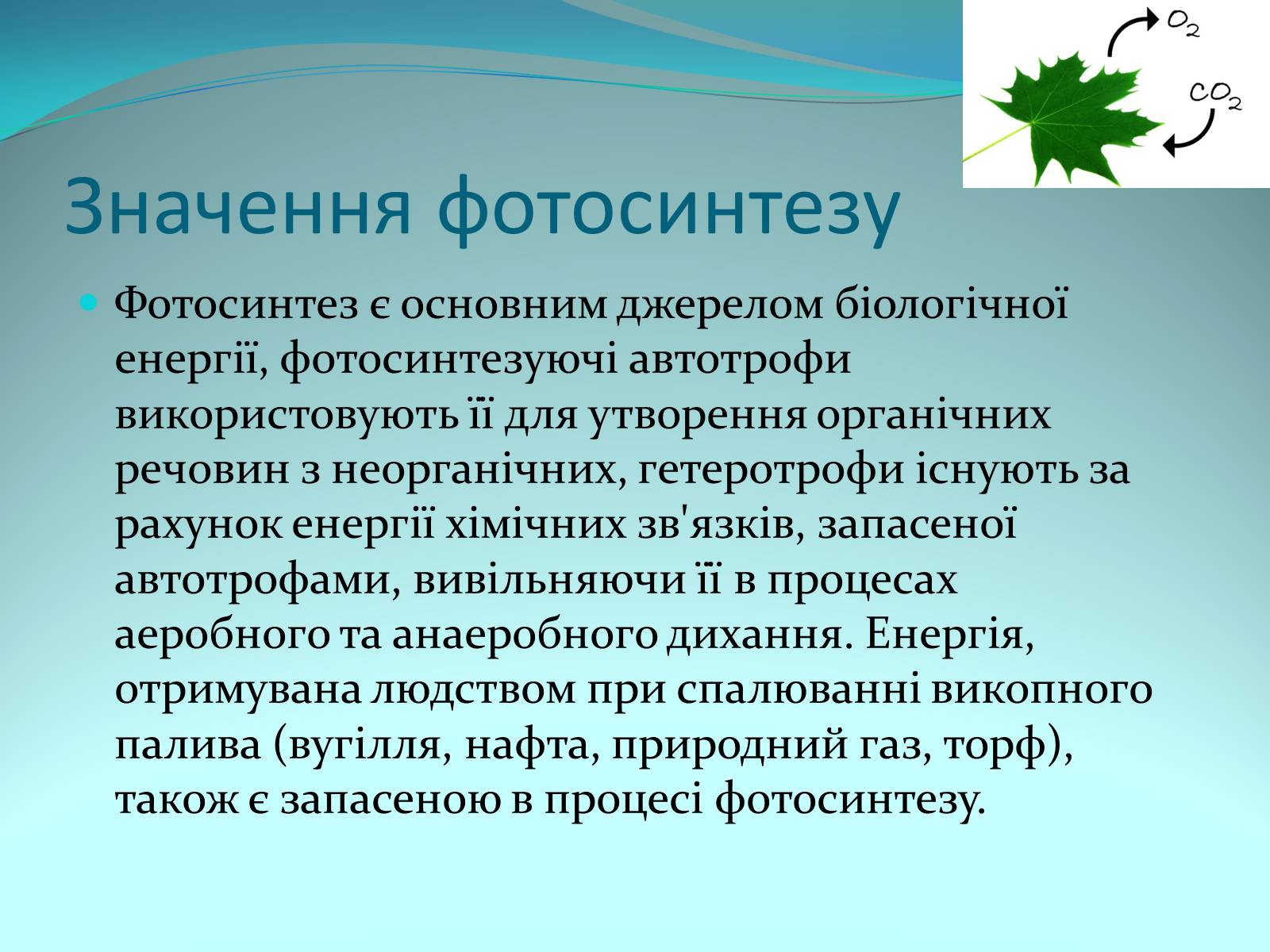 Презентація на тему «Фотосинтез» (варіант 9) - Слайд #15