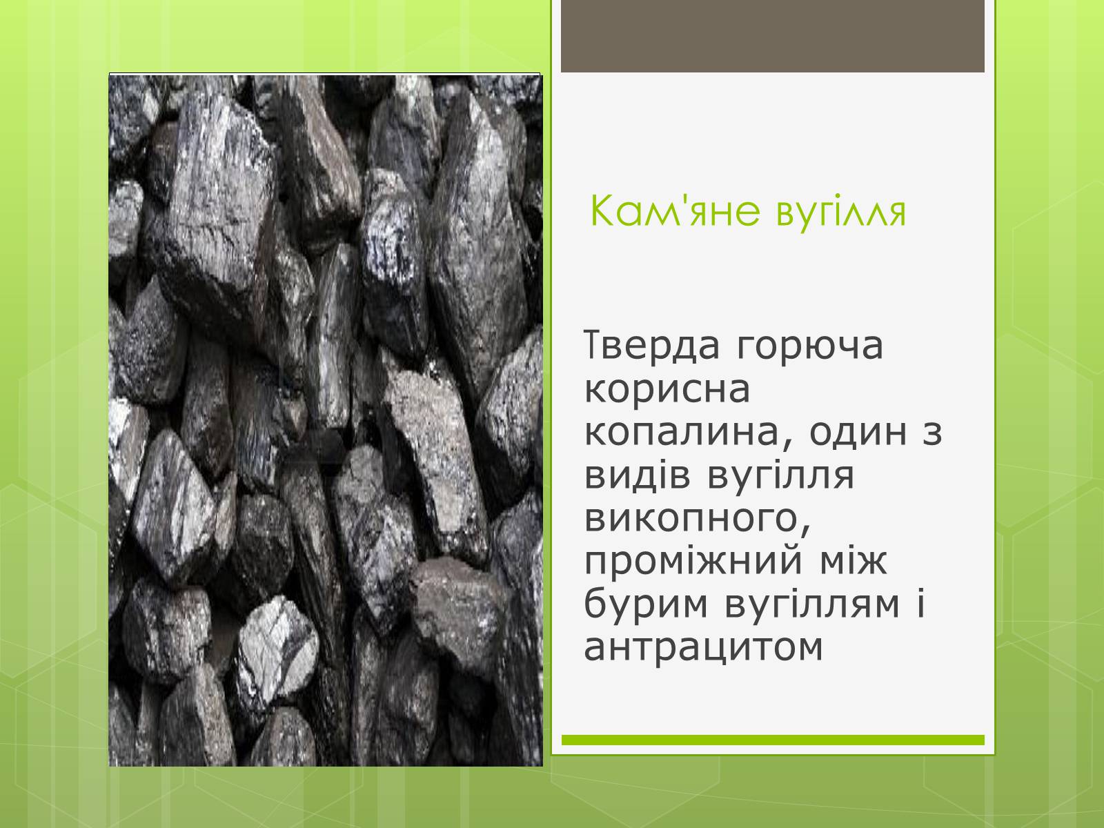 Презентація на тему «Кам’яне вугілля» (варіант 5) - Слайд #1