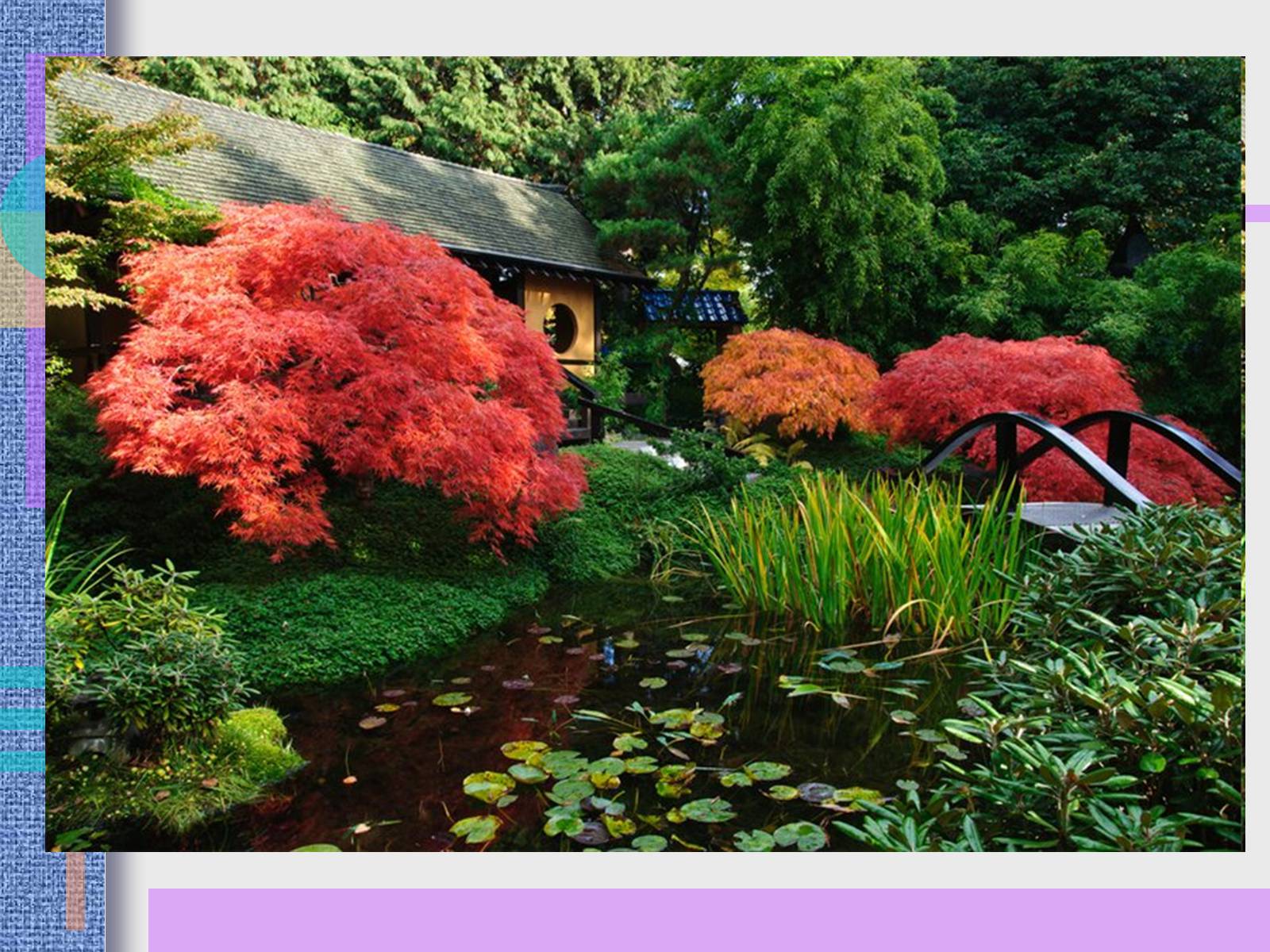 Презентація на тему «Японський ландшафтний сад» (варіант 2) - Слайд #19