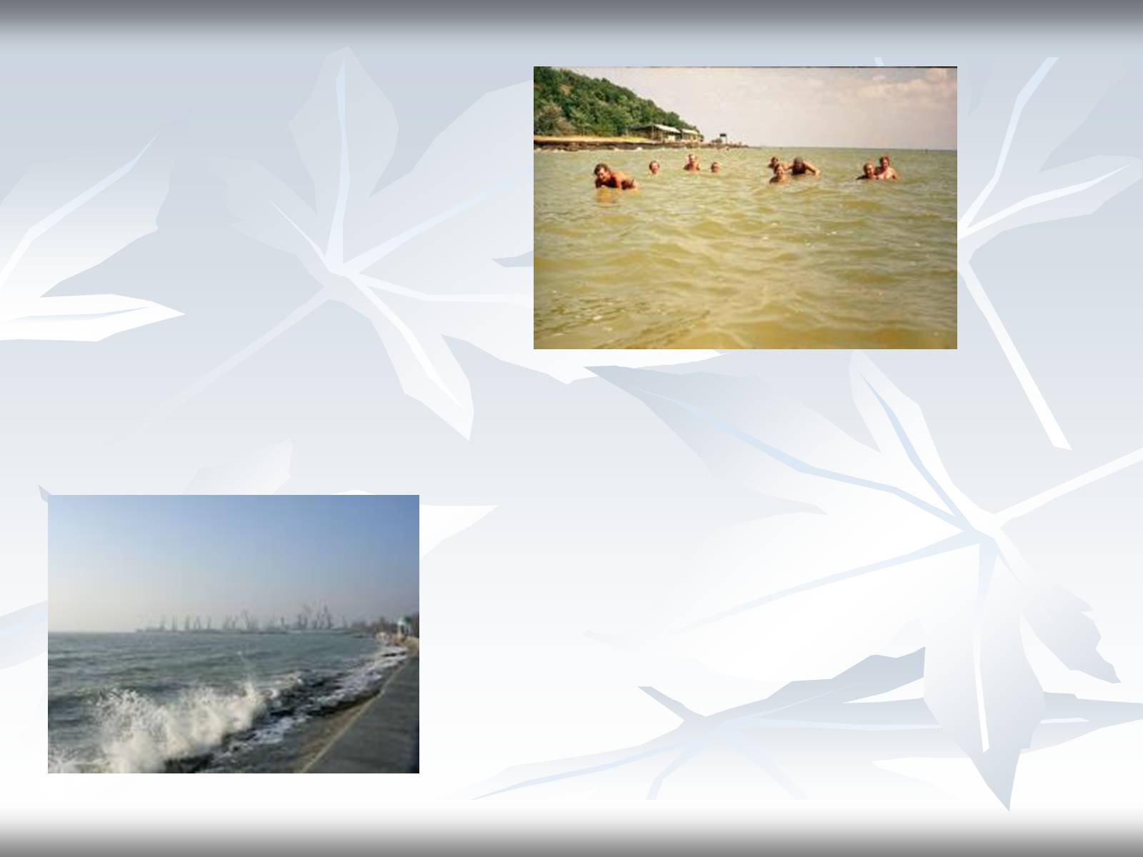 Презентація на тему «Азовське море» - Слайд #5
