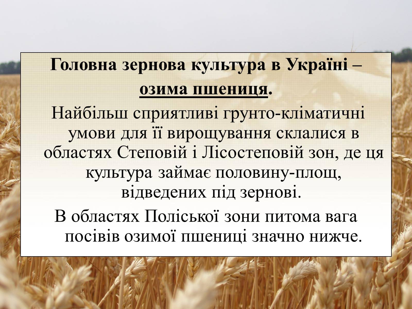 Презентація на тему «Вирощування еліти зернових культур України» - Слайд #3