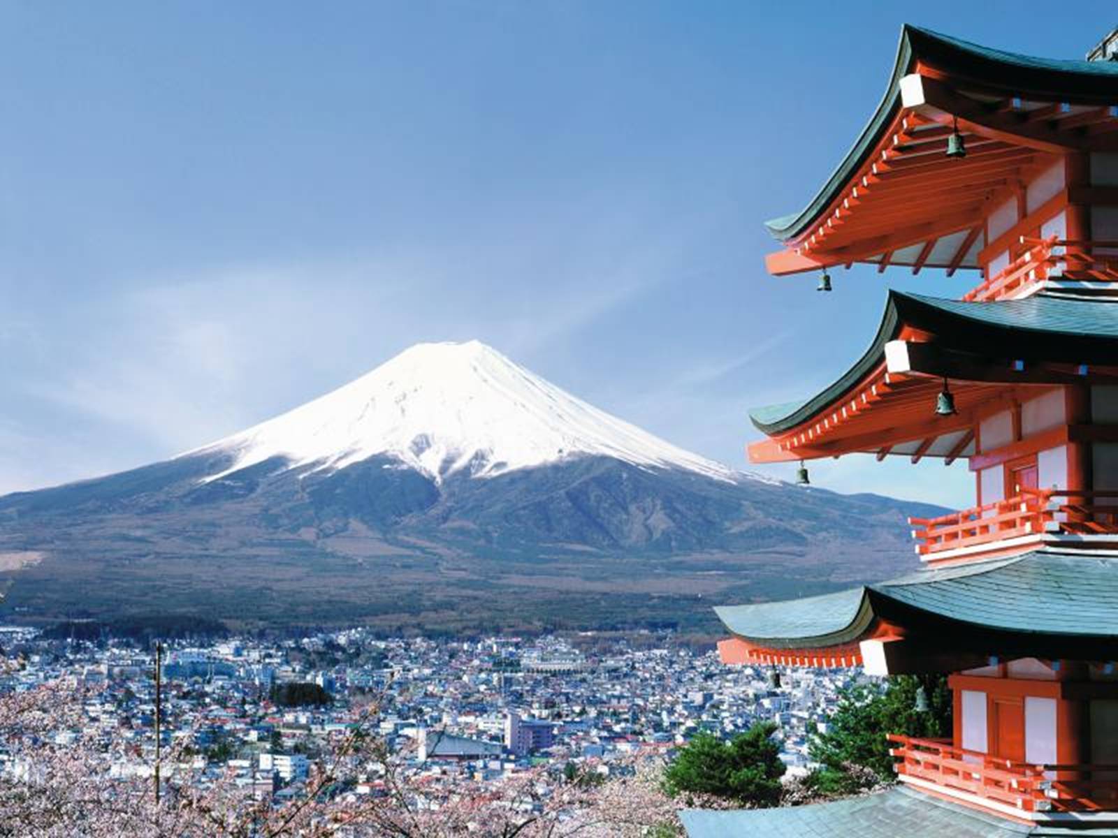 Презентація на тему «Японія.Одна з найбільш технологічно розвинутих країн світу» - Слайд #13