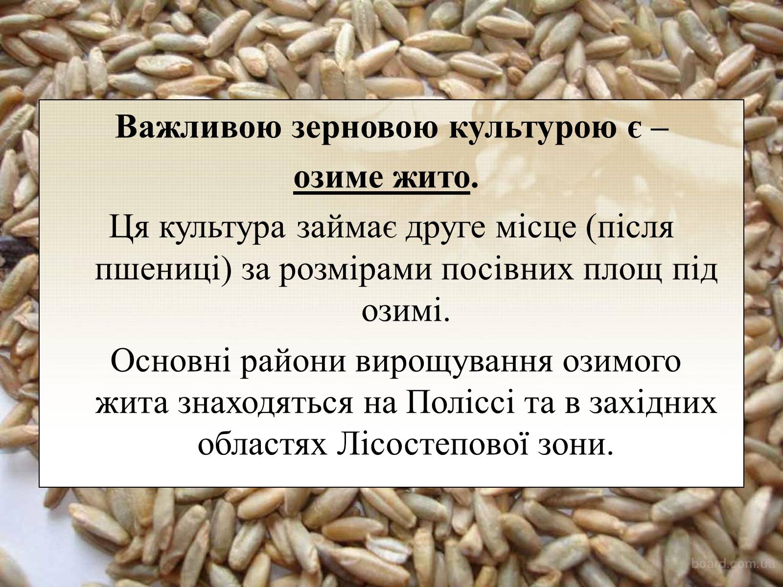 Презентація на тему «Вирощування еліти зернових культур України» - Слайд #4