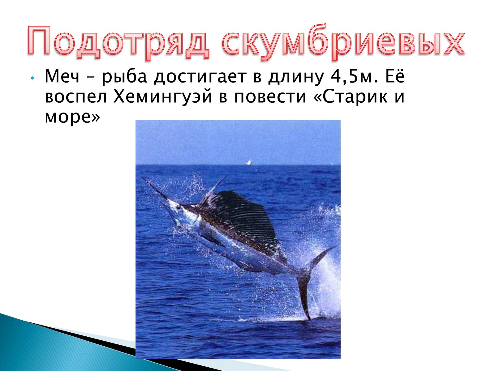Презентація на тему «Костные рыбы» - Слайд #24