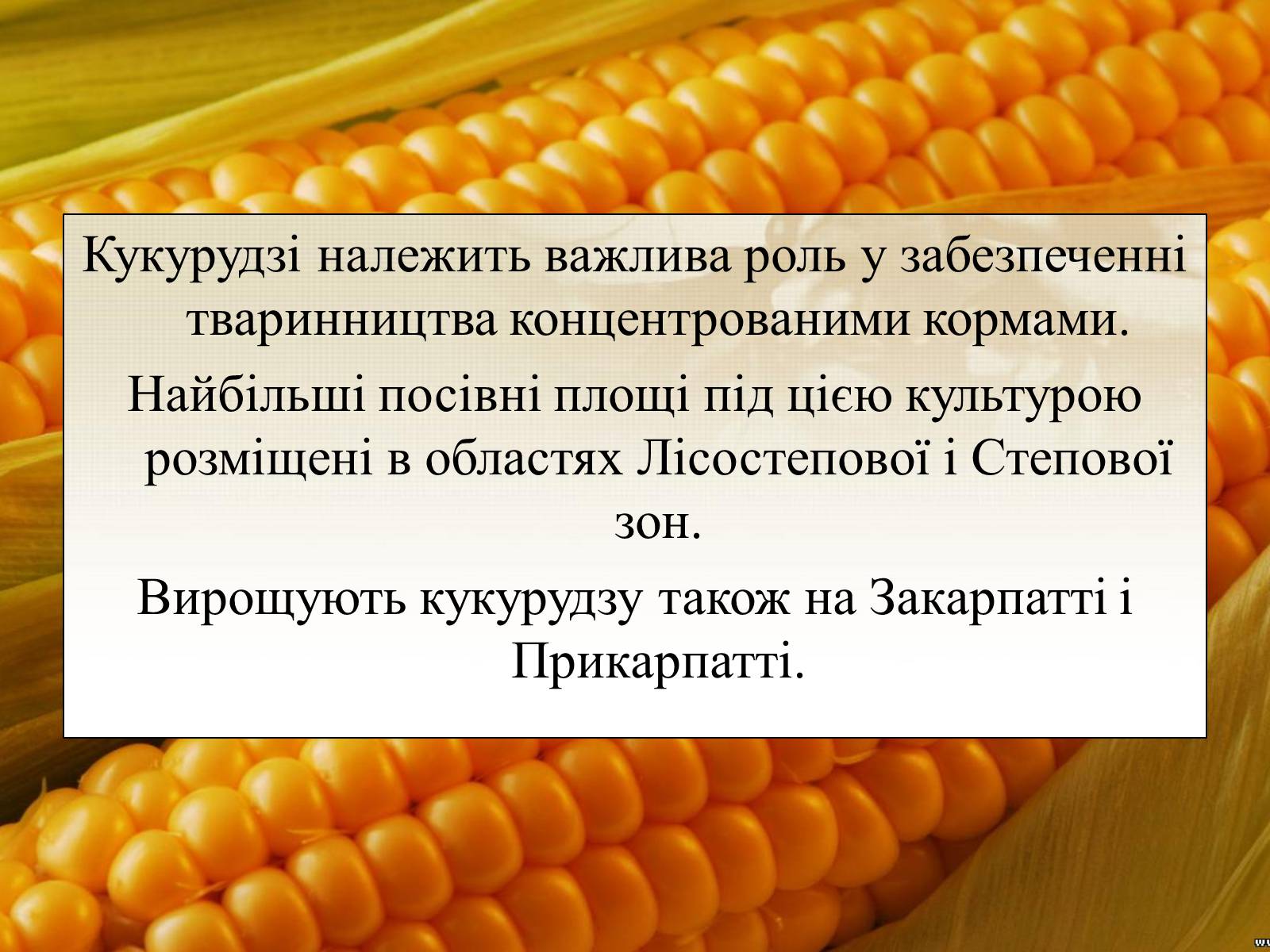 Презентація на тему «Вирощування еліти зернових культур України» - Слайд #10