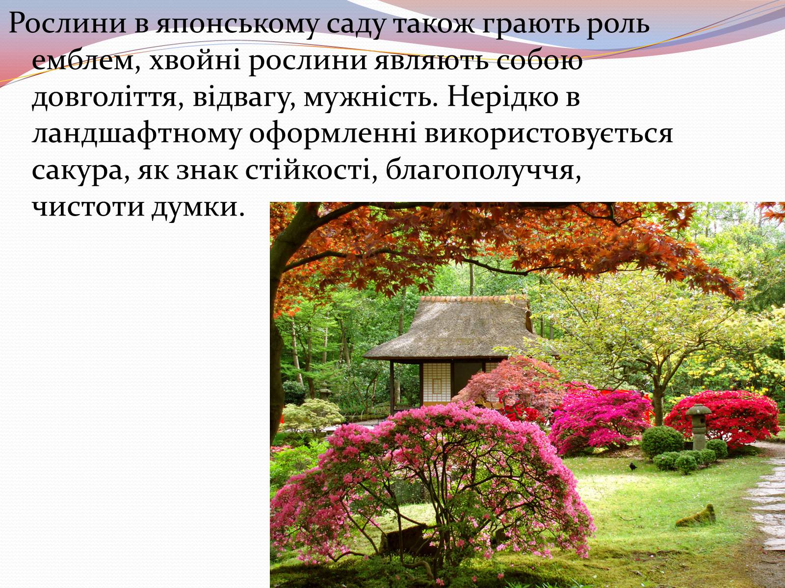 Презентація на тему «Японський ландшафтний сад» (варіант 1) - Слайд #7