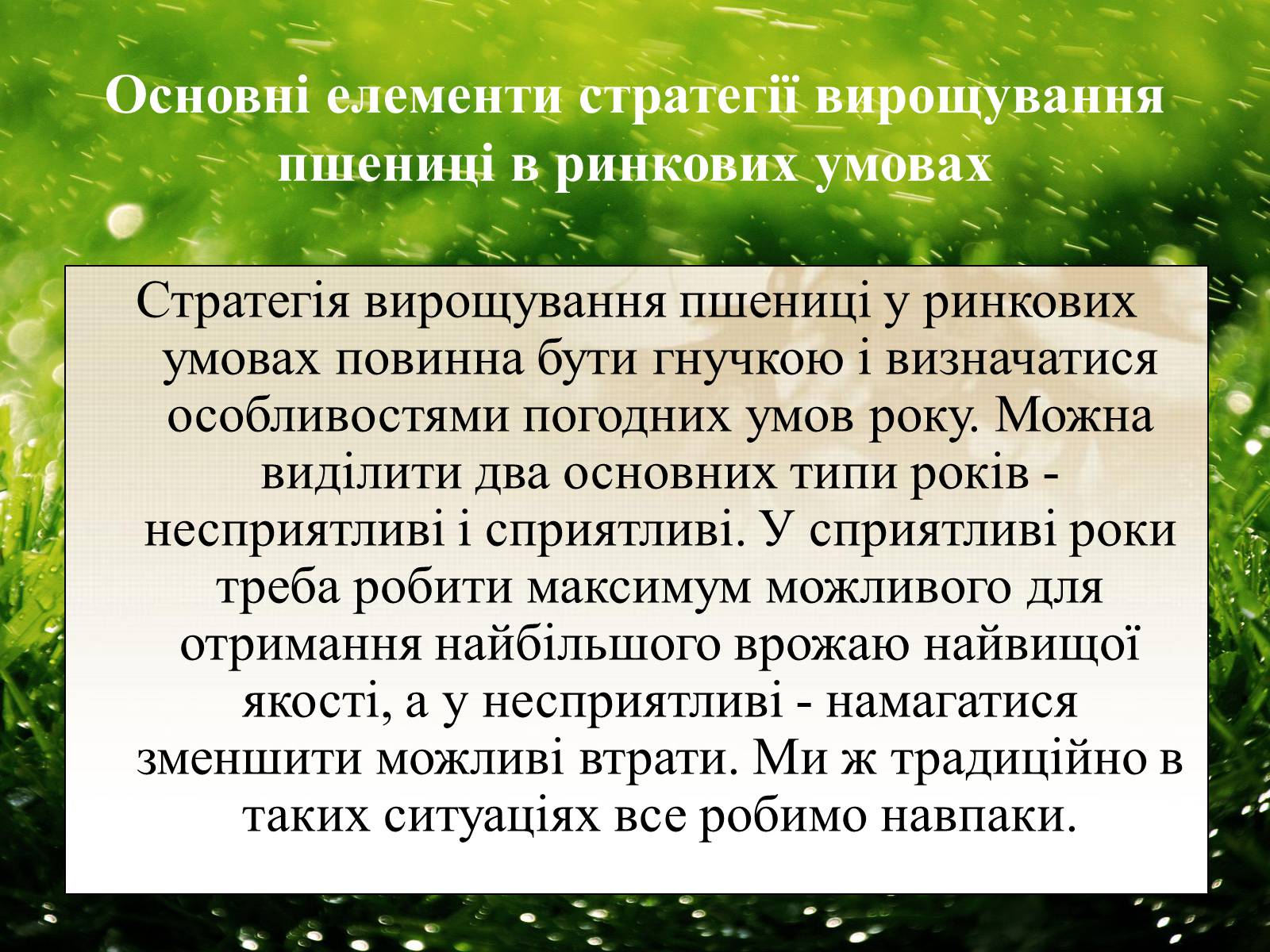 Презентація на тему «Вирощування еліти зернових культур України» - Слайд #17