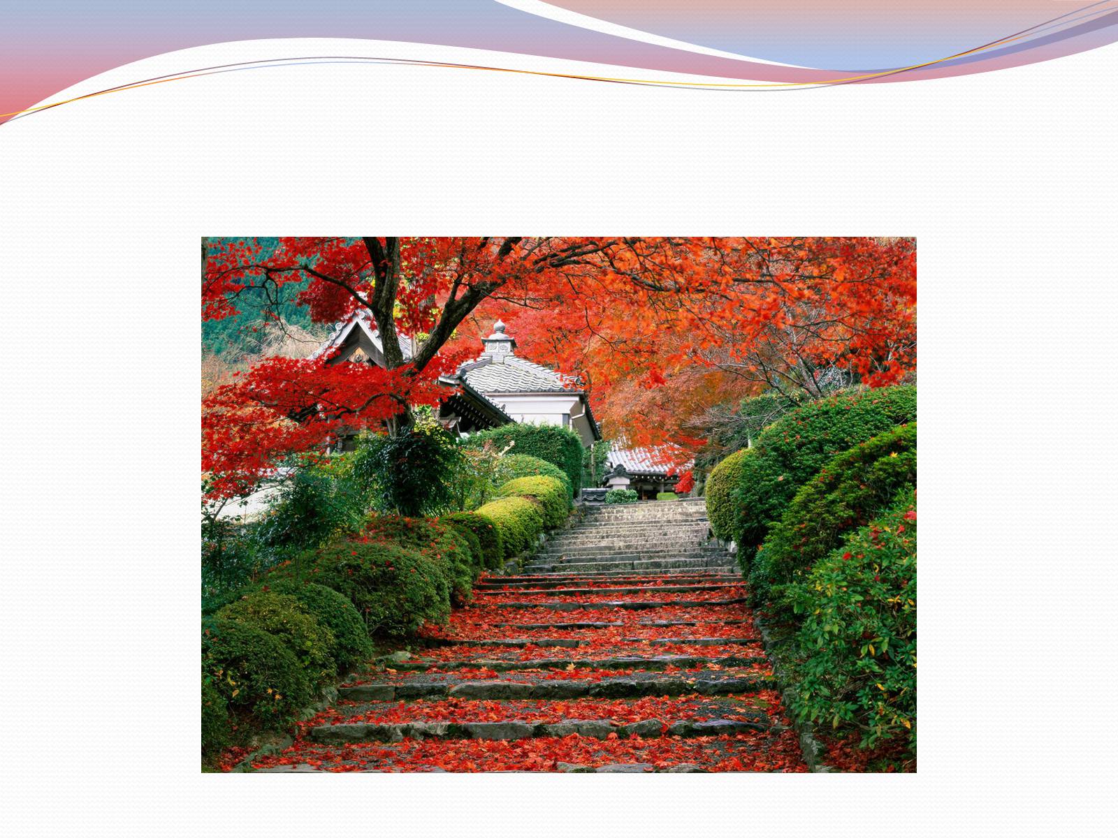 Презентація на тему «Японський ландшафтний сад» (варіант 1) - Слайд #12