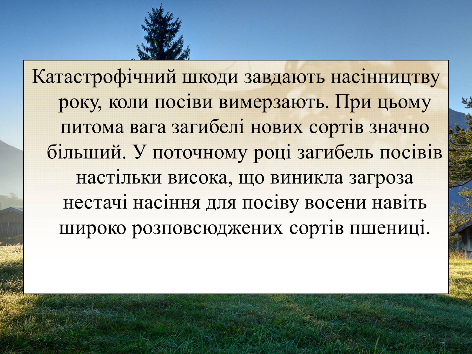 Презентація на тему «Вирощування еліти зернових культур України» - Слайд #21