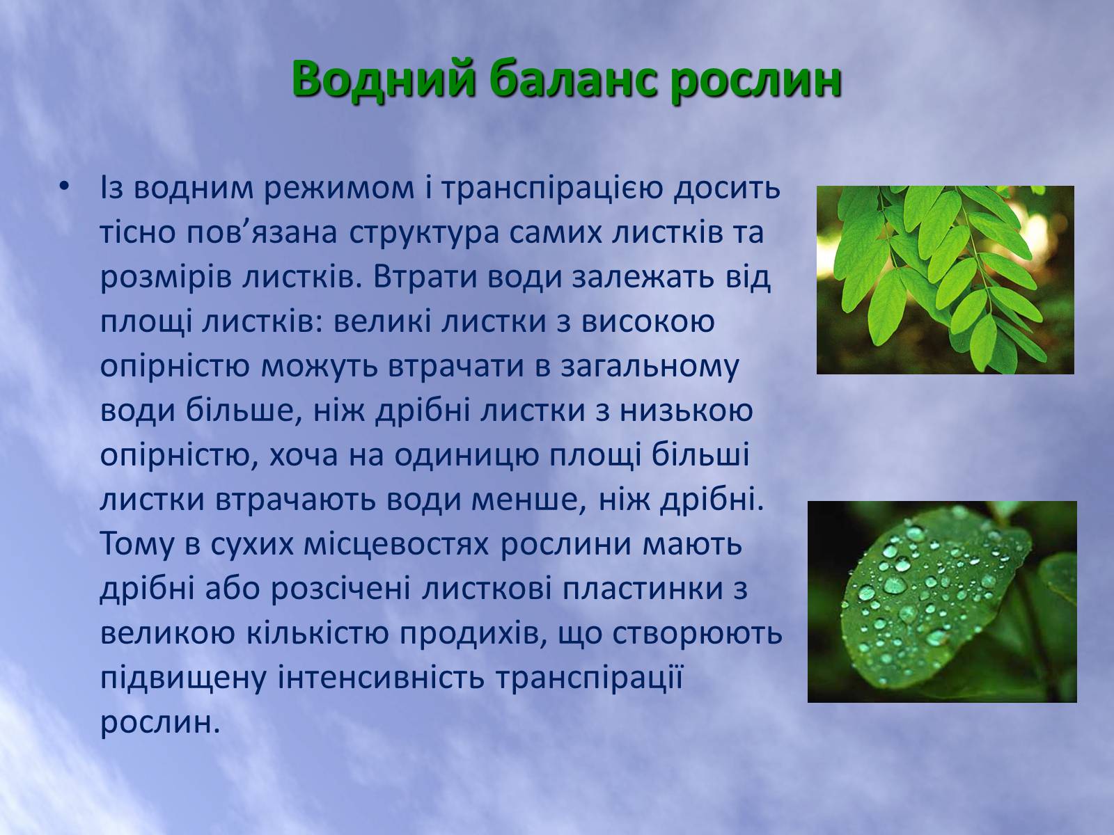 Презентація на тему «Наземно-повітряне середовище життя організмів» - Слайд #22