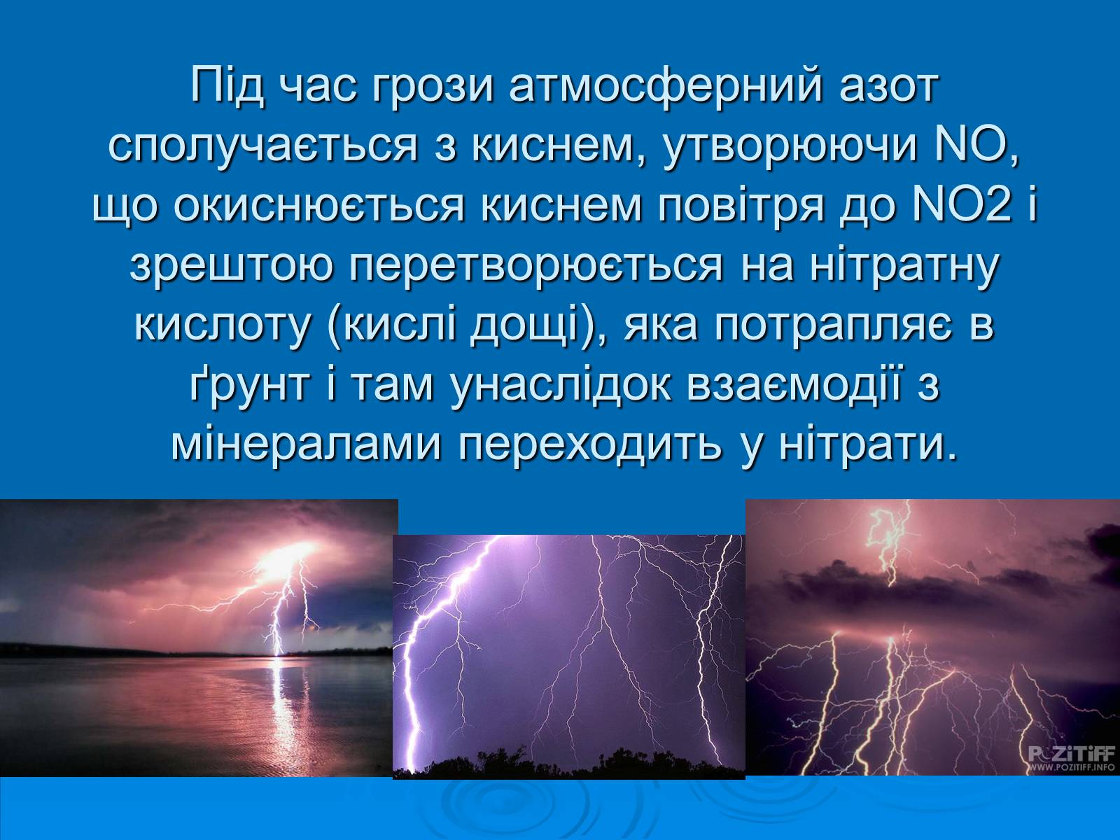 Презентація на тему «Колообіг нітрогену» (варіант 2) - Слайд #12