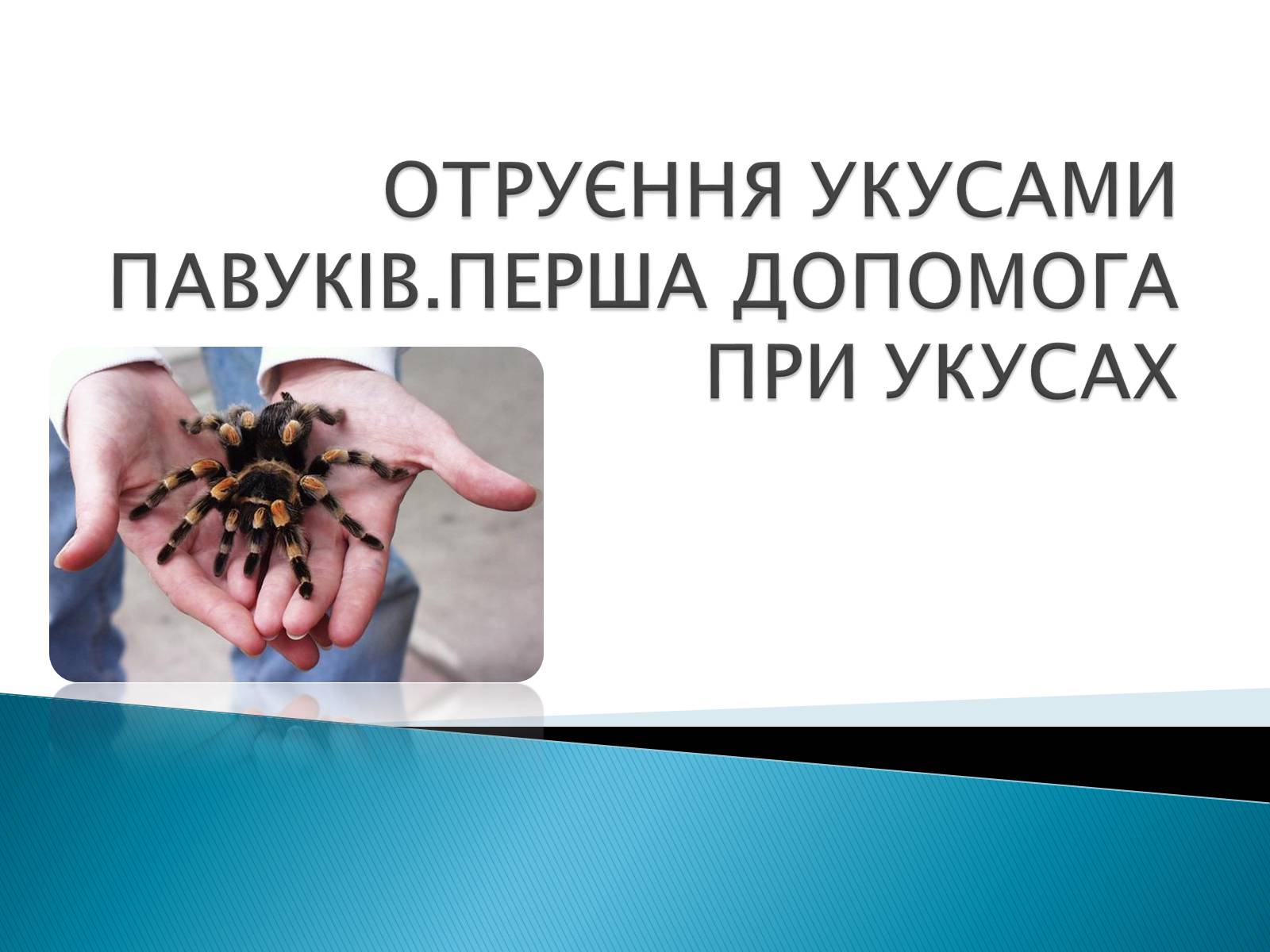 Презентація на тему «Отруєння укусами павуків» - Слайд #1