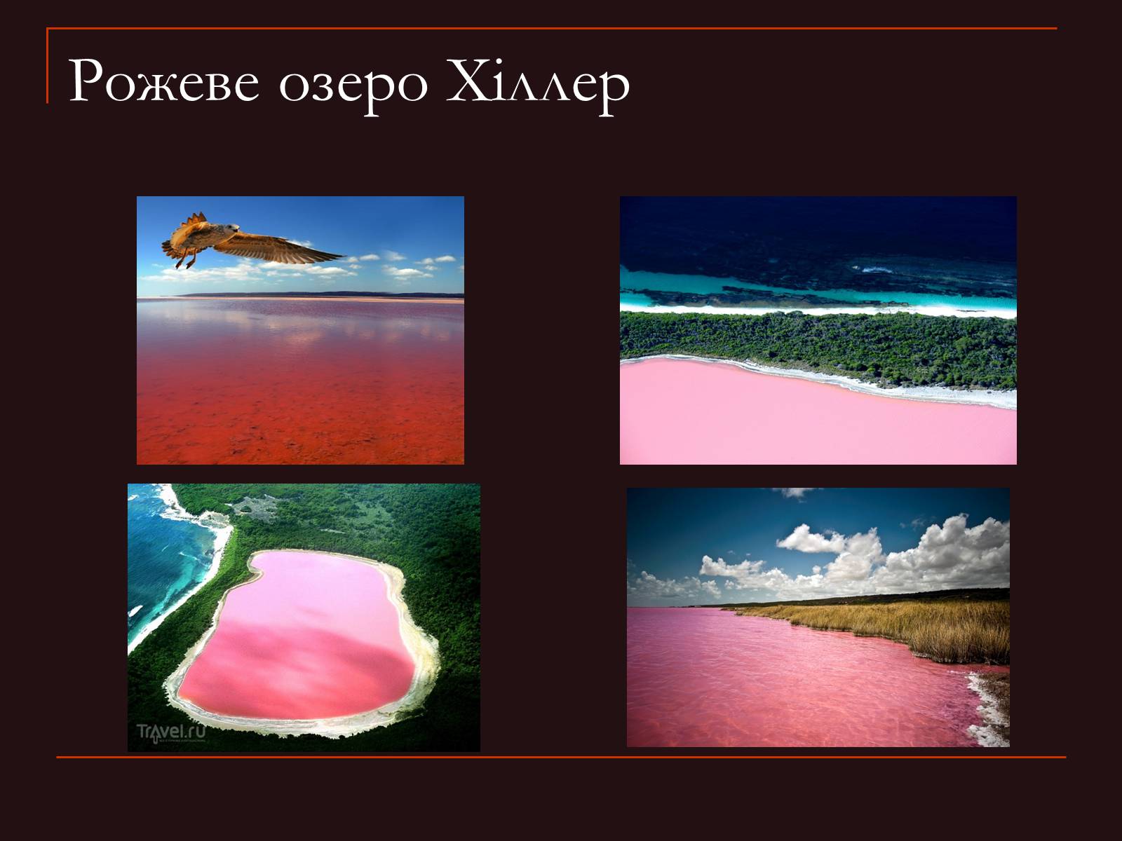 Презентація на тему «Рожеве озеро Хіллер» - Слайд #7