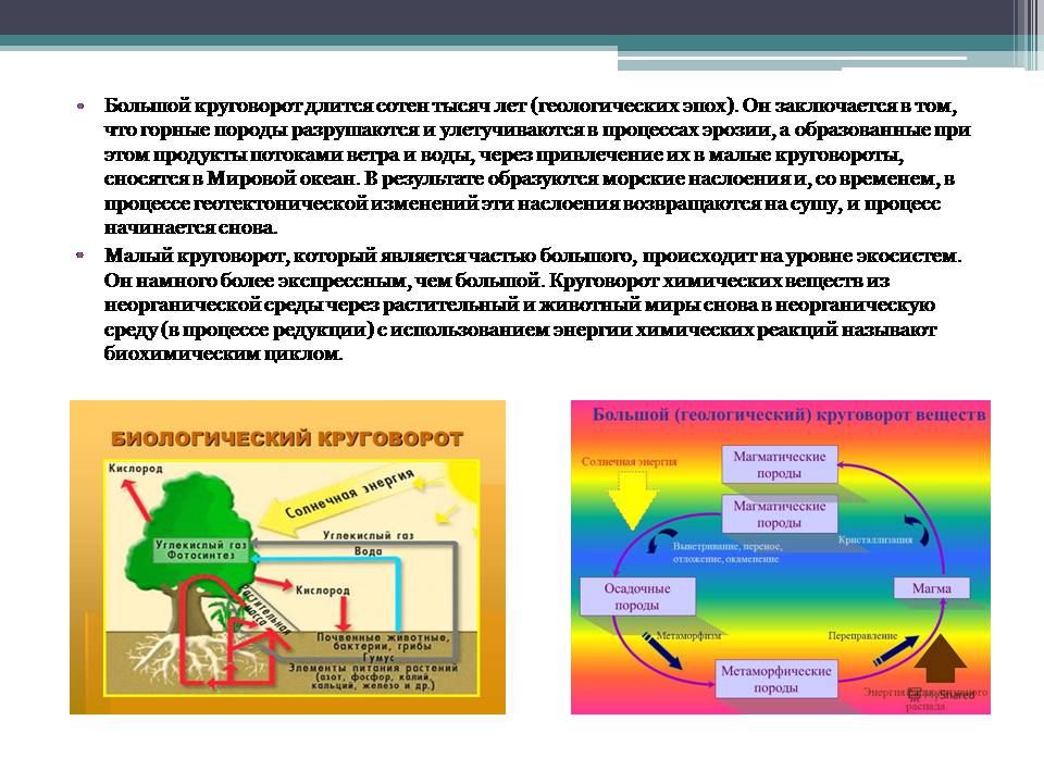 Презентація на тему «Анализ схем круговорота основных веществ в природе» - Слайд #3