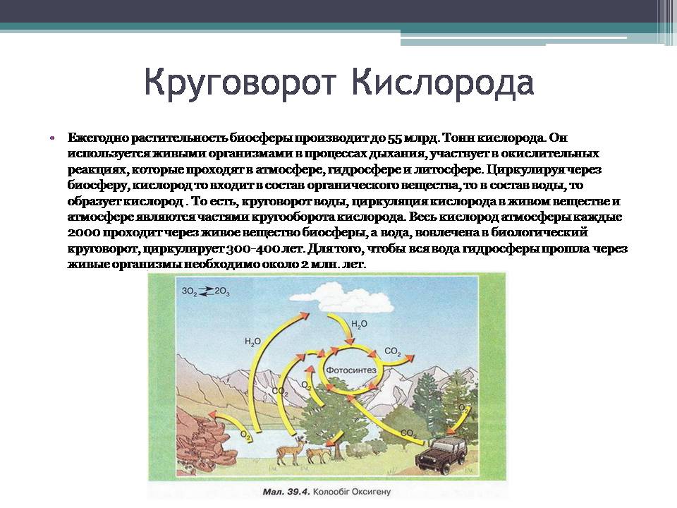 Презентація на тему «Анализ схем круговорота основных веществ в природе» - Слайд #9