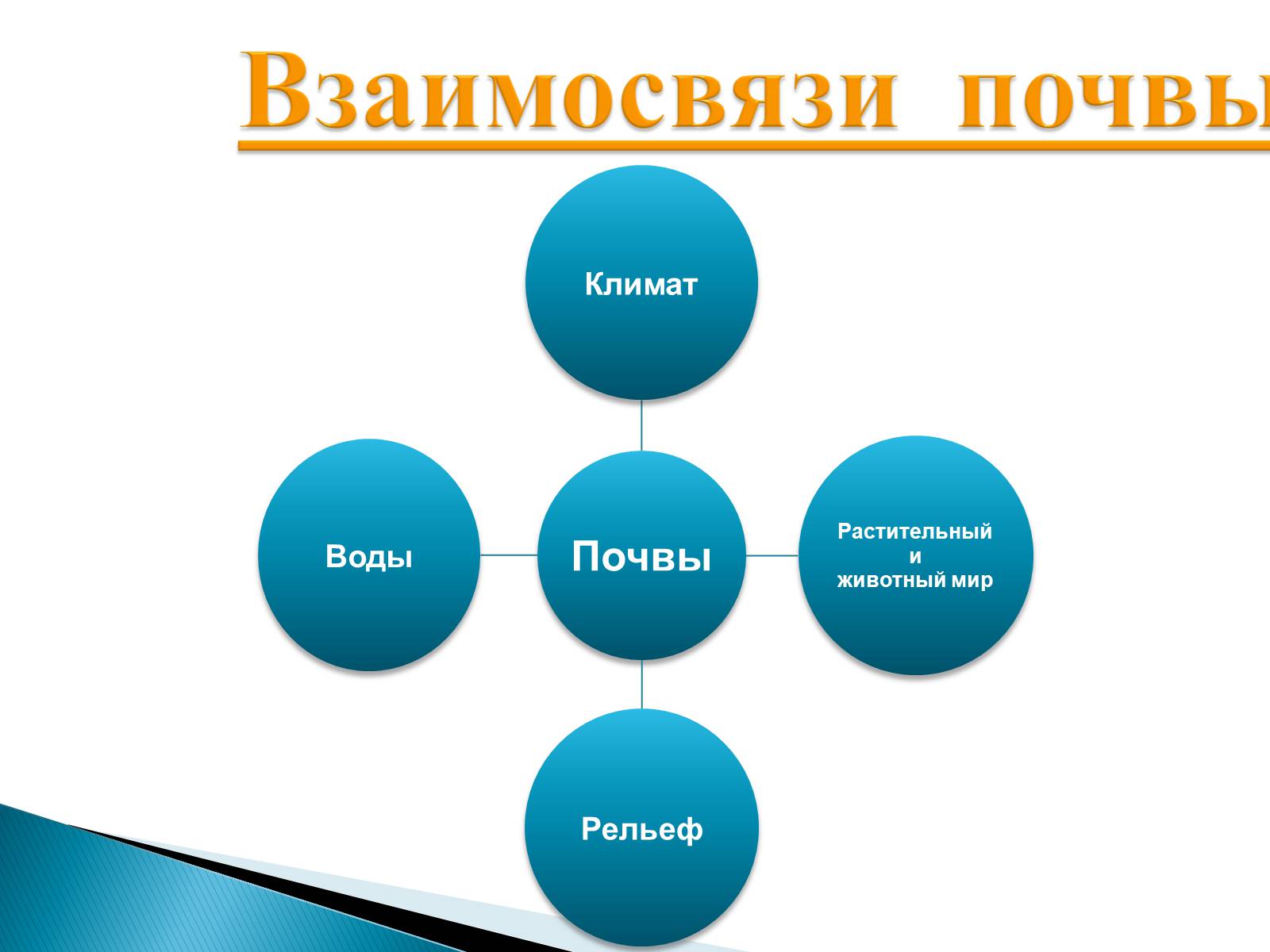 Презентація на тему «Почвы Украины» - Слайд #12