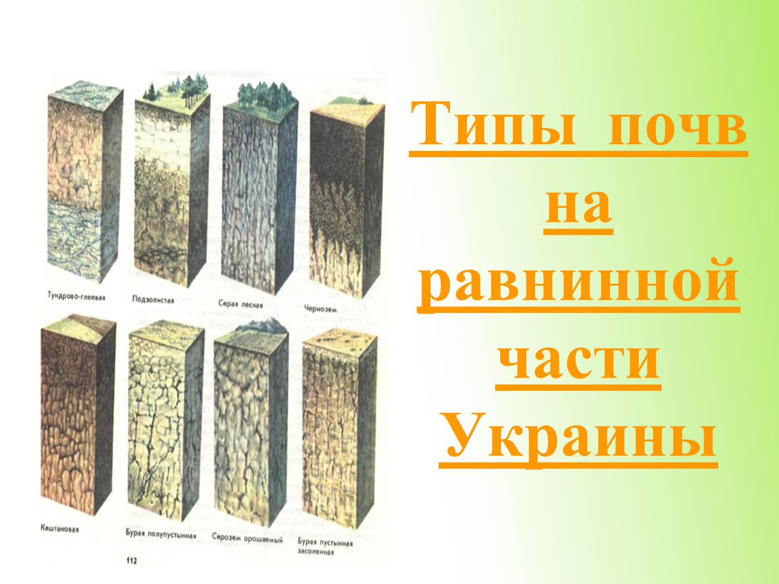 Презентація на тему «Почвы Украины» - Слайд #13