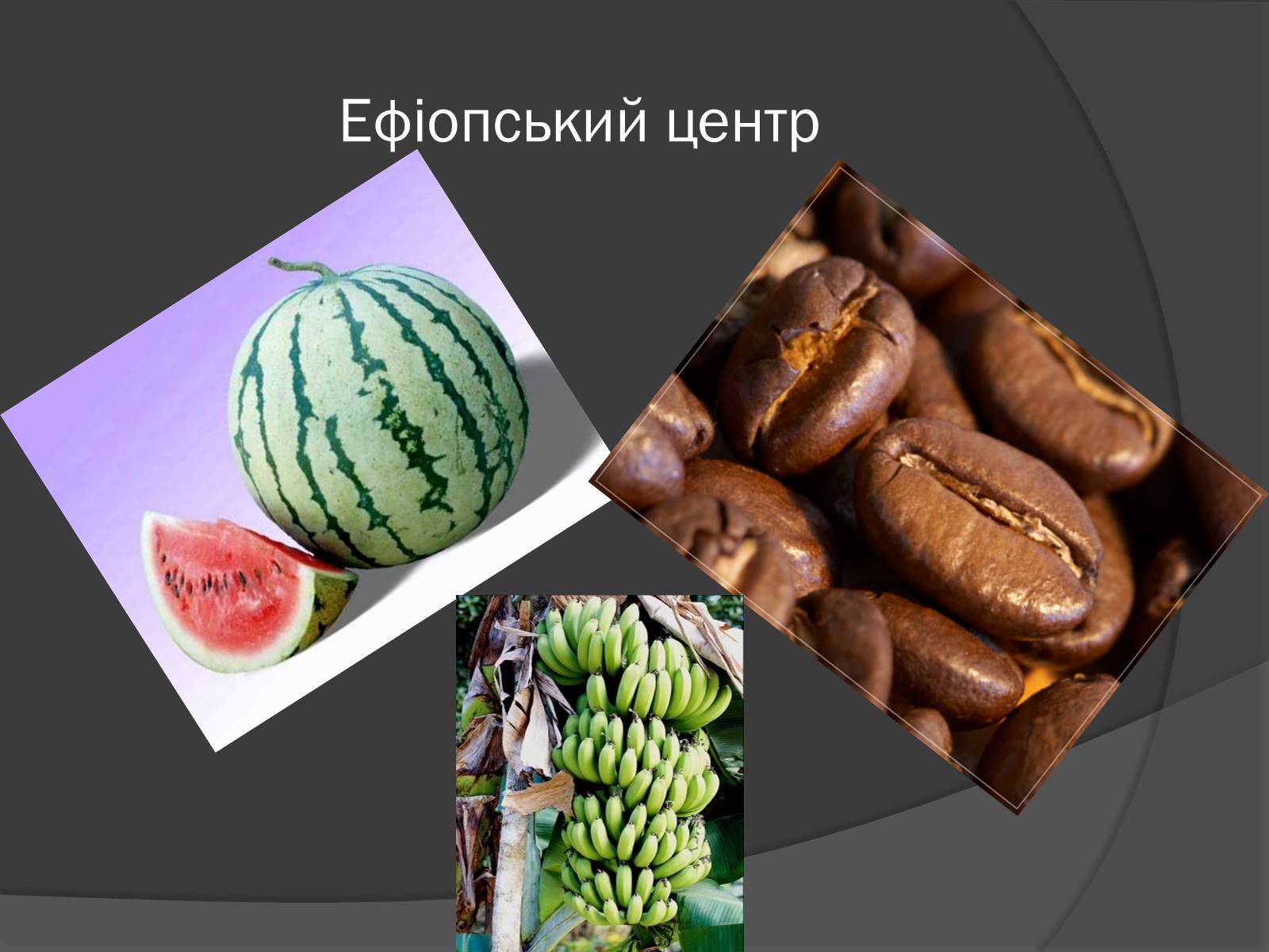 Презентація на тему «Центри різноманітності та походження культурних рослин» - Слайд #9