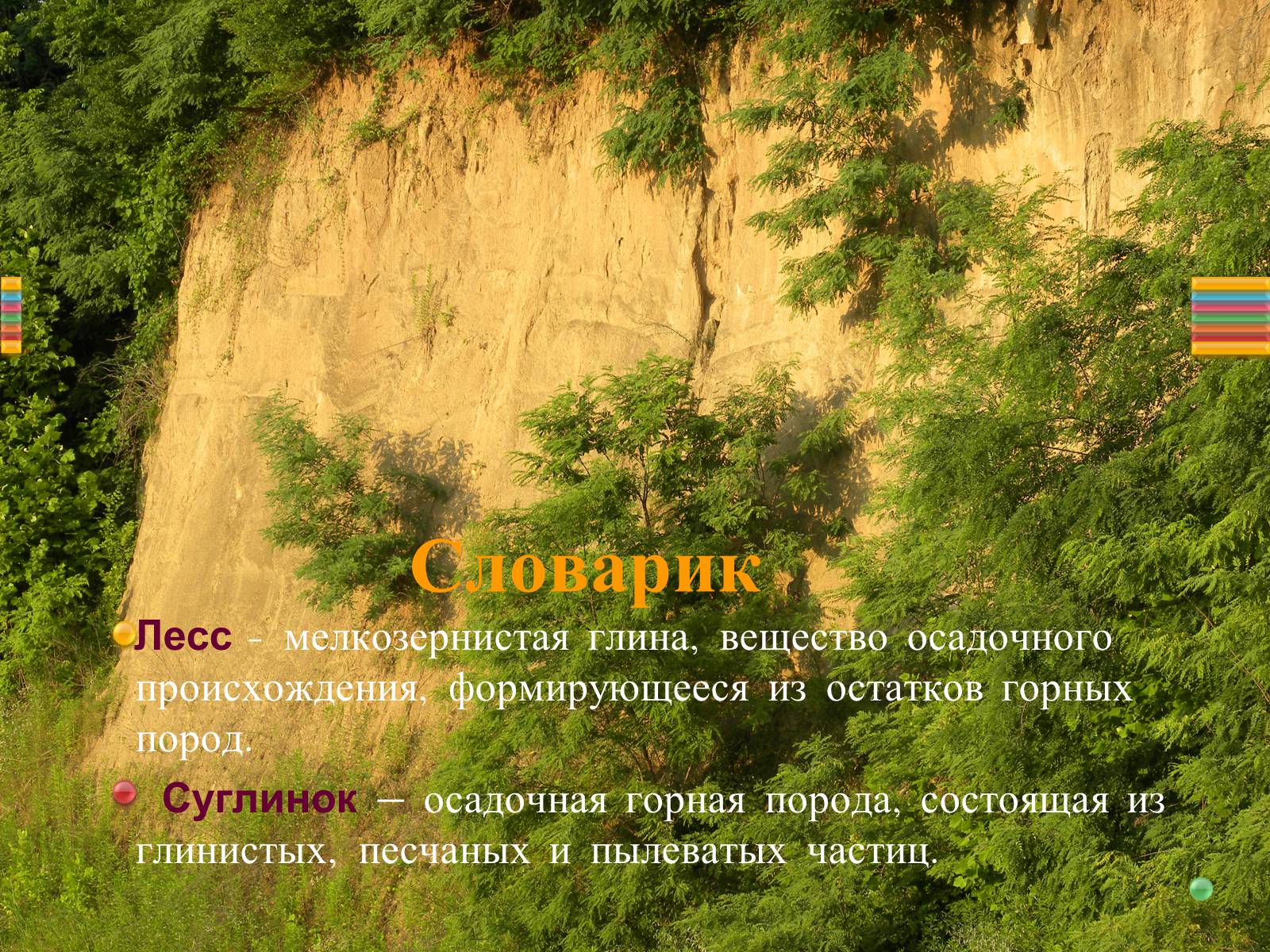 Презентація на тему «Почвы Украины» - Слайд #19
