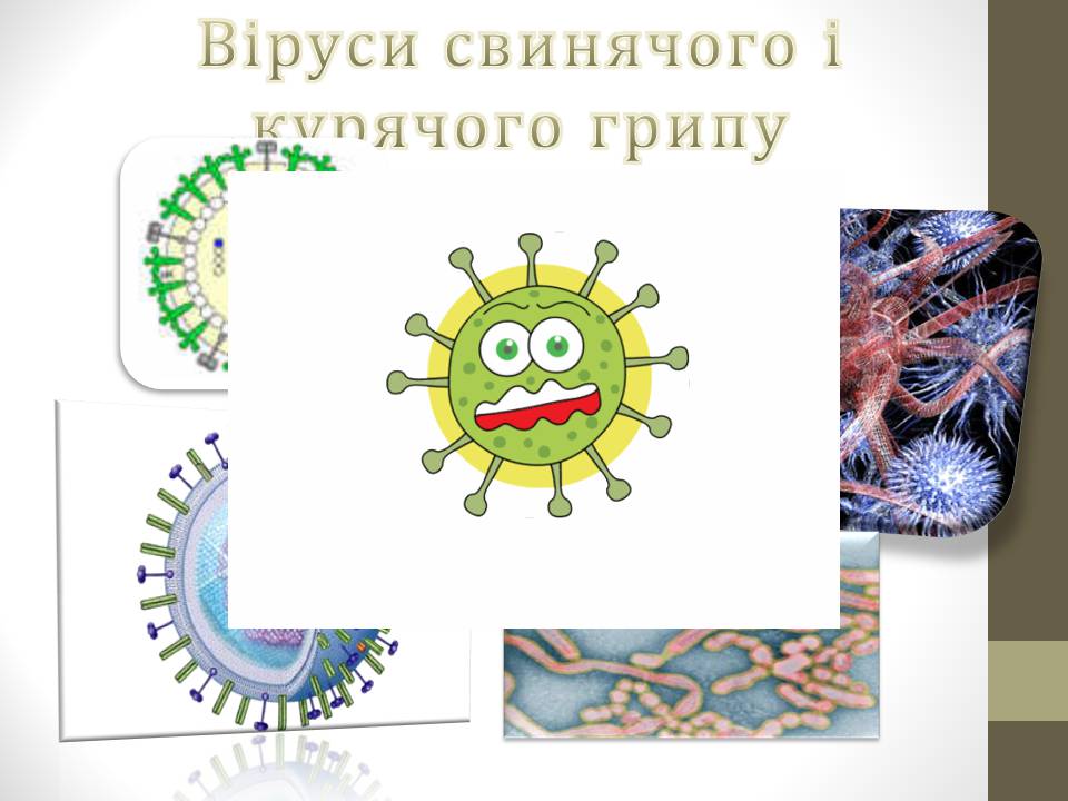 Презентація на тему «Роль вірусів у природі і житті людини» (варіант 2) - Слайд #10